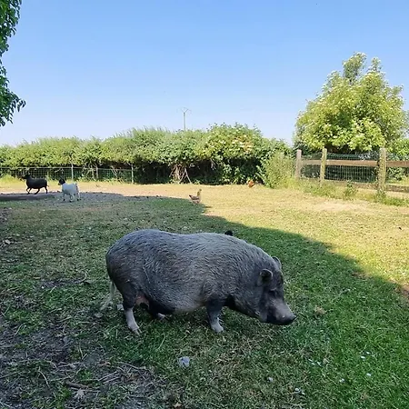 Confortable A La Ferme Avec Wifi Et Animaux Admis - Fr-1-510-229 Casa de Férias *