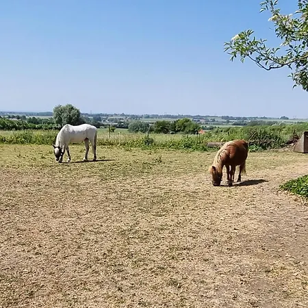 Confortable A La Ferme Avec Wifi Et Animaux Admis - Fr-1-510-229 Casa de Férias