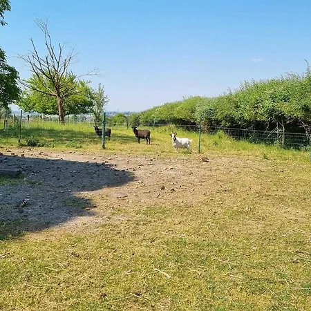 Confortable A La Ferme Avec Wifi Et Animaux Admis - Fr-1-510-229 *